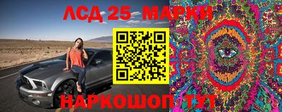 PSILOCYBIN Ставрополь
