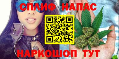 PSILOCYBIN Ставрополь
